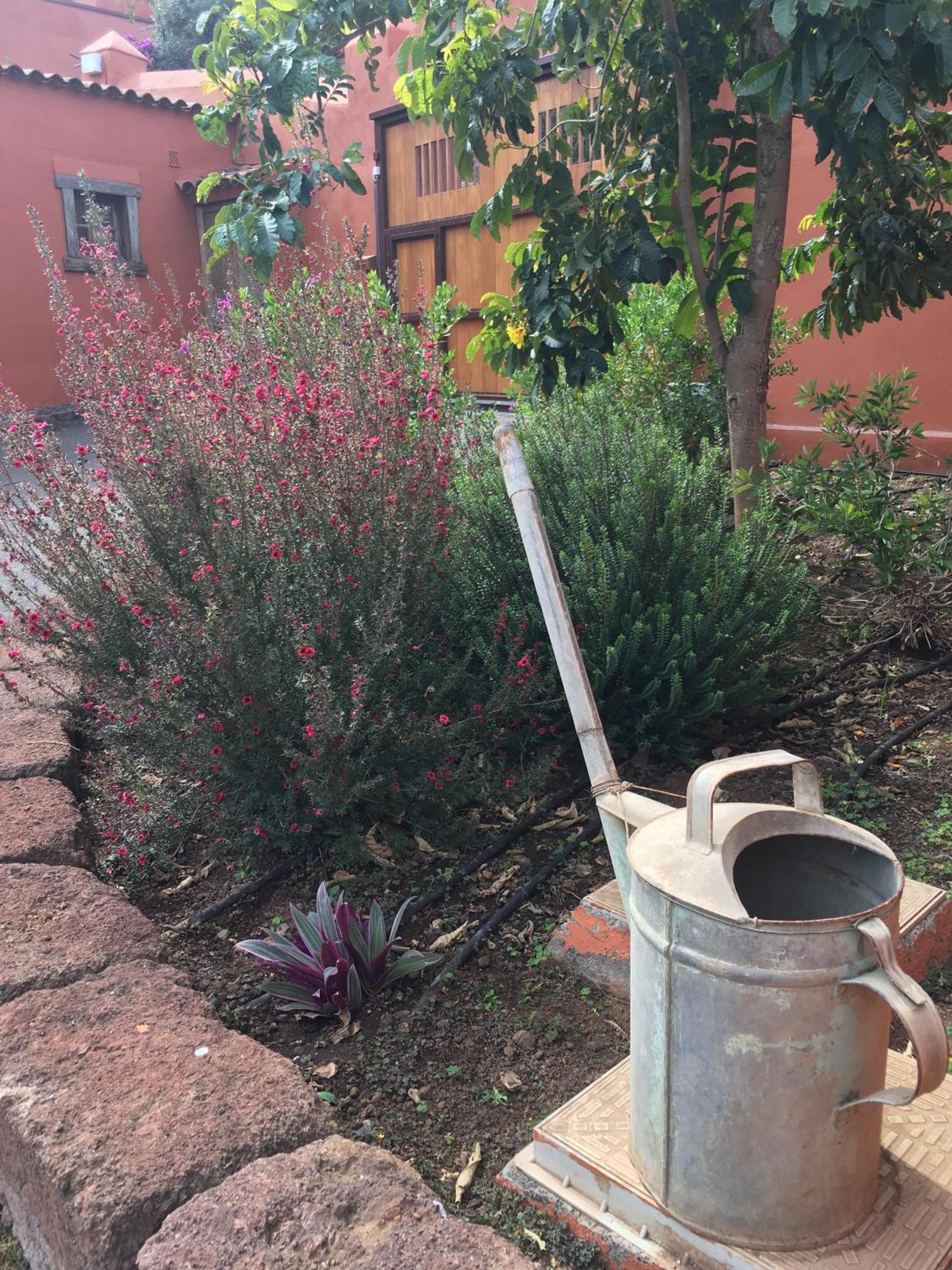 Haciendas Del Valle - Las Kentias Valle de Guerra Exteriör bild