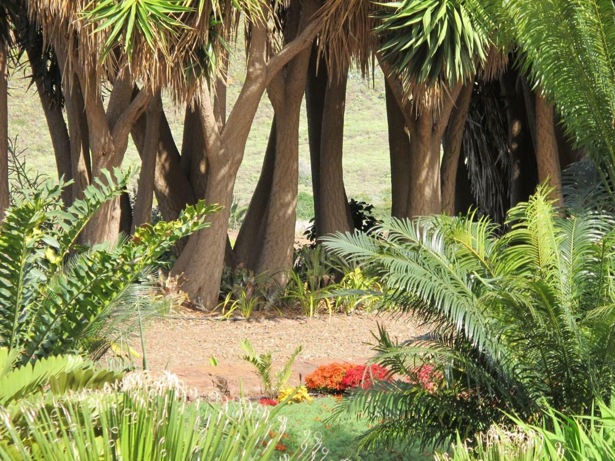 Haciendas Del Valle - Las Kentias Valle de Guerra Exteriör bild