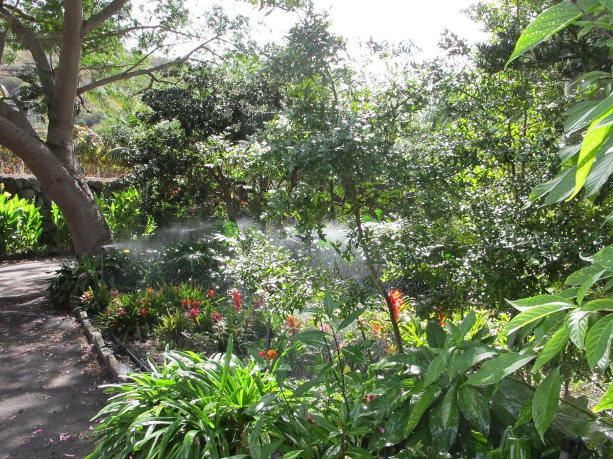 Haciendas Del Valle - Las Kentias Valle de Guerra Exteriör bild